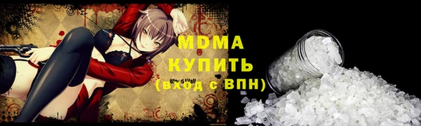 мдпв Бородино