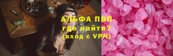 мдпв Бородино
