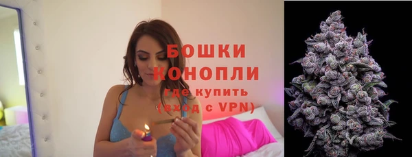 мдпв Бородино