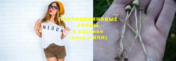 мдпв Бородино