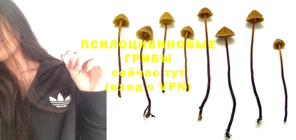 MDMA Premium VHQ Бронницы