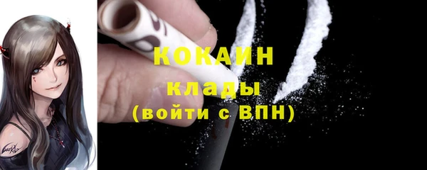 мдпв Бородино