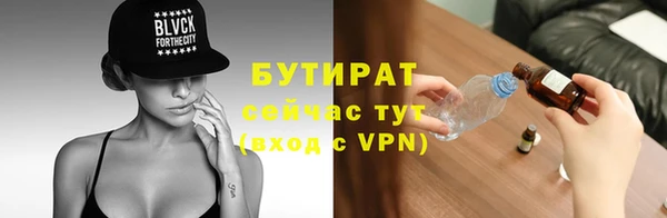 мдпв Бородино