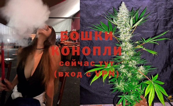 мдпв Бородино