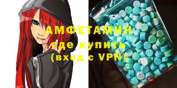 мдпв Бородино
