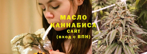 мдпв Бородино