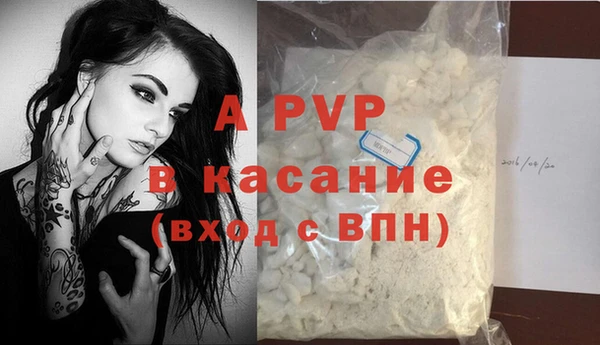 мдпв Бородино