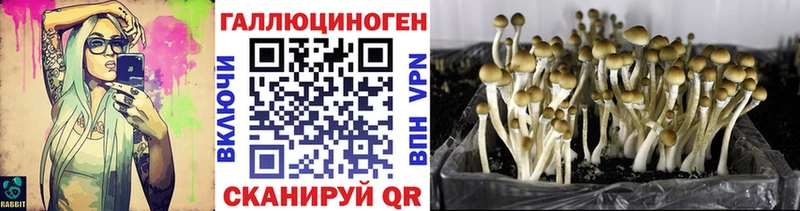 Псилоцибиновые грибы мухоморы  Керчь 